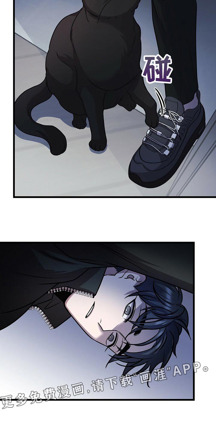 第26章：黑猫
