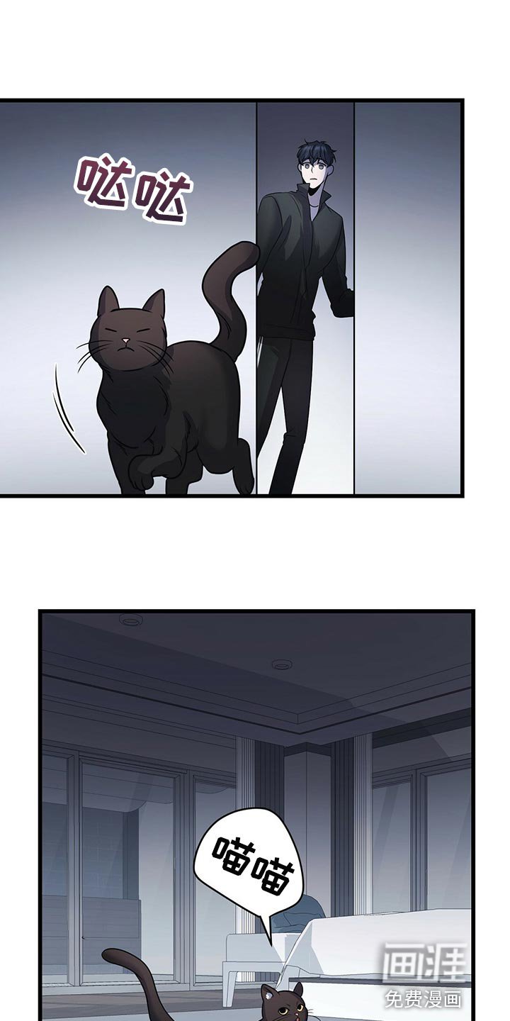 第27章：聪明的猫咪