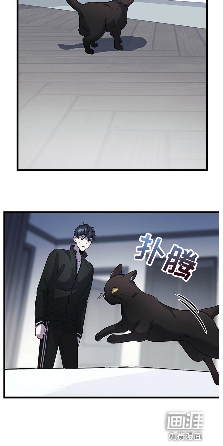 第27章：聪明的猫咪