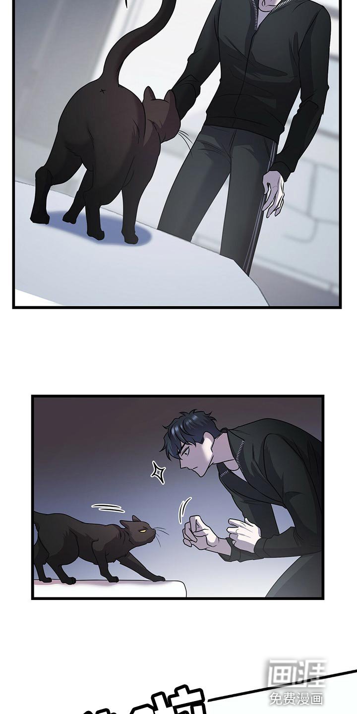 第27章：聪明的猫咪