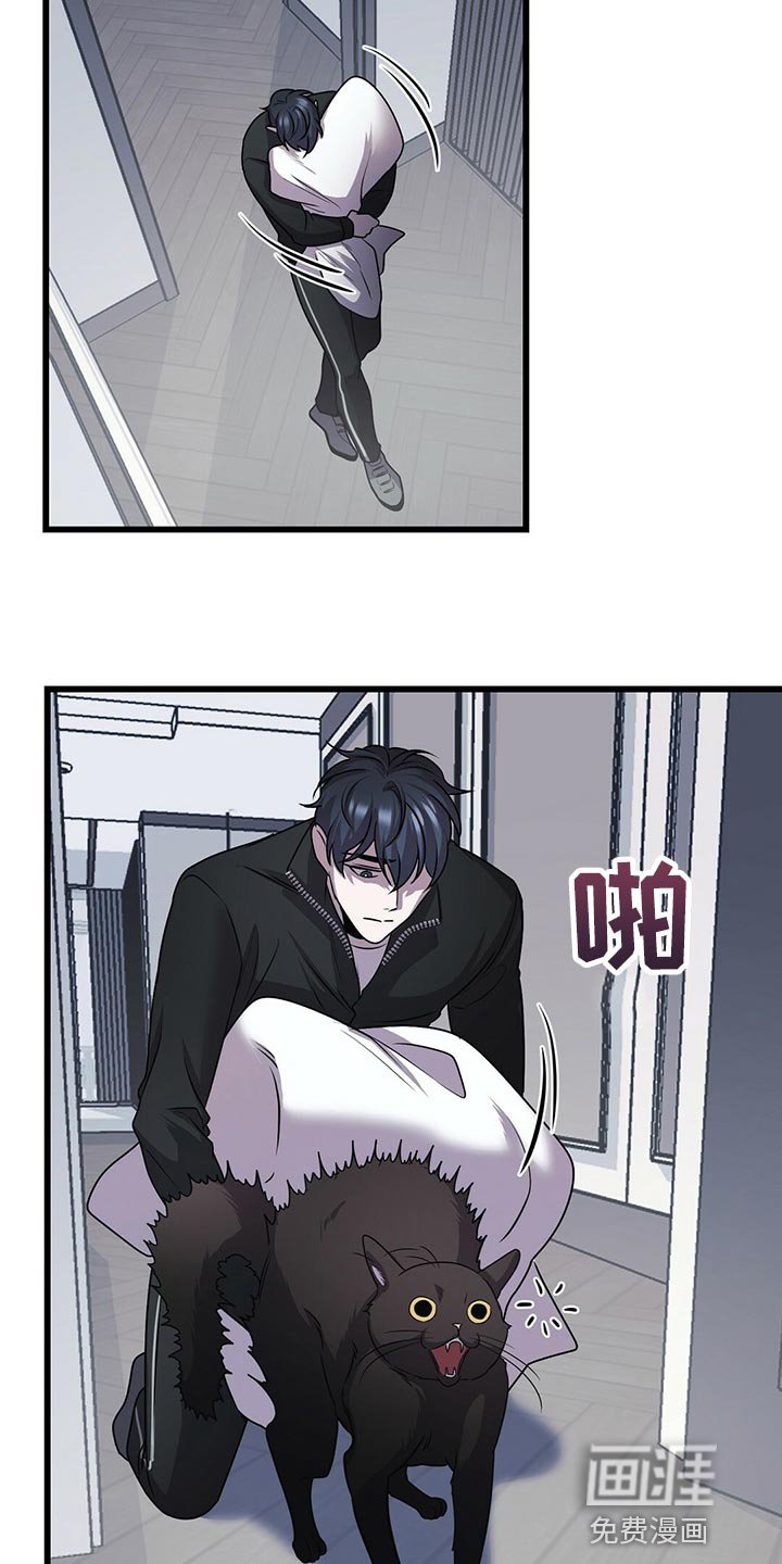 第27章：聪明的猫咪