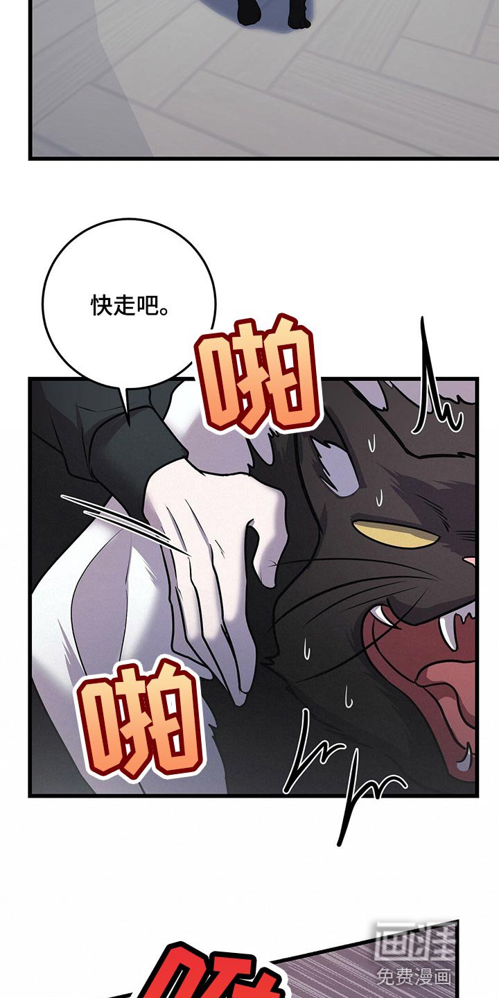 第27章：聪明的猫咪