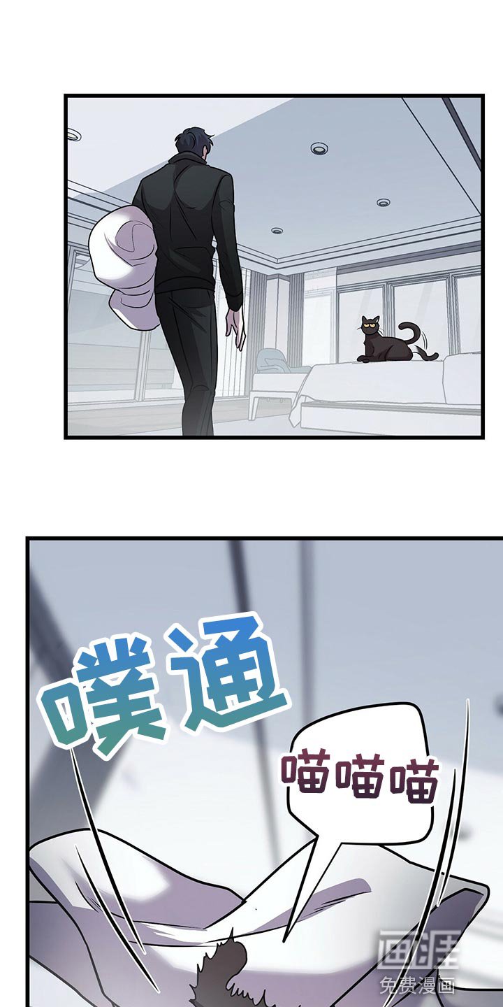 第27章：聪明的猫咪