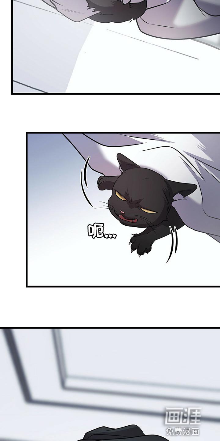 第27章：聪明的猫咪