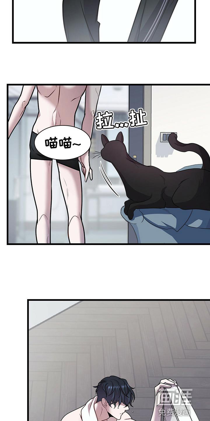 第27章：聪明的猫咪