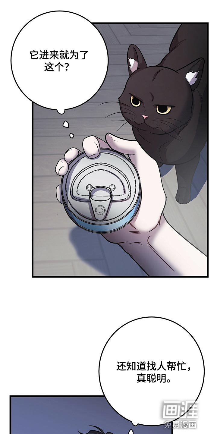 第27章：聪明的猫咪