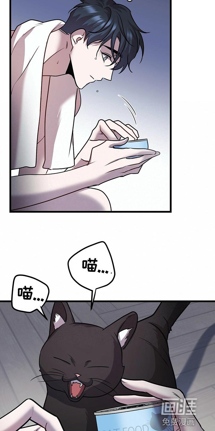 第27章：聪明的猫咪