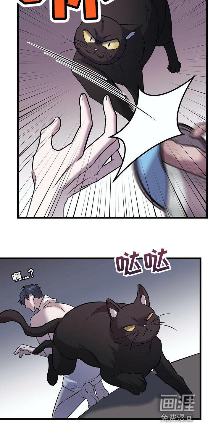 第27章：聪明的猫咪