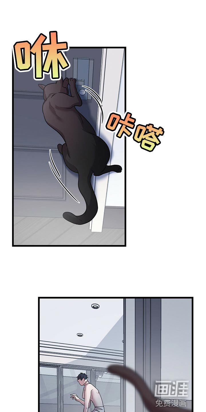 第27章：聪明的猫咪