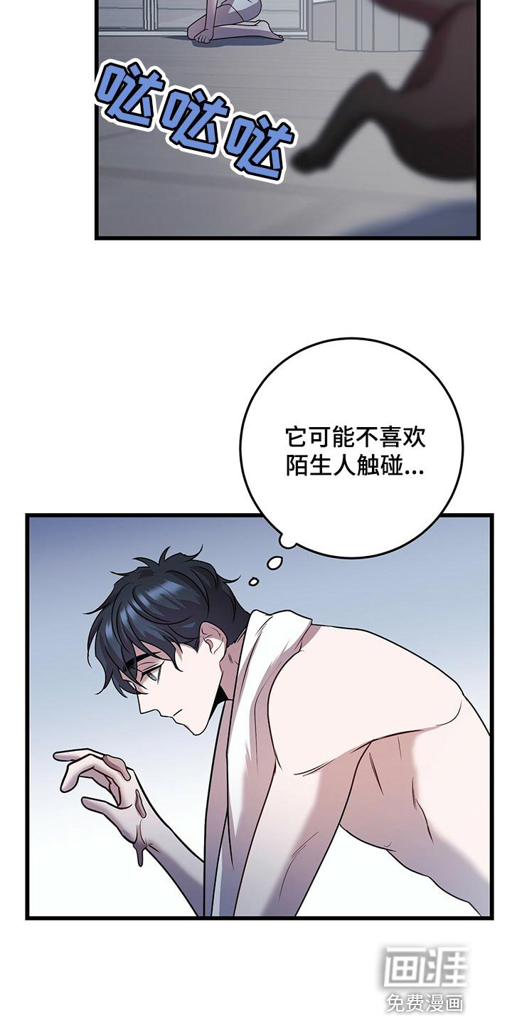 第27章：聪明的猫咪