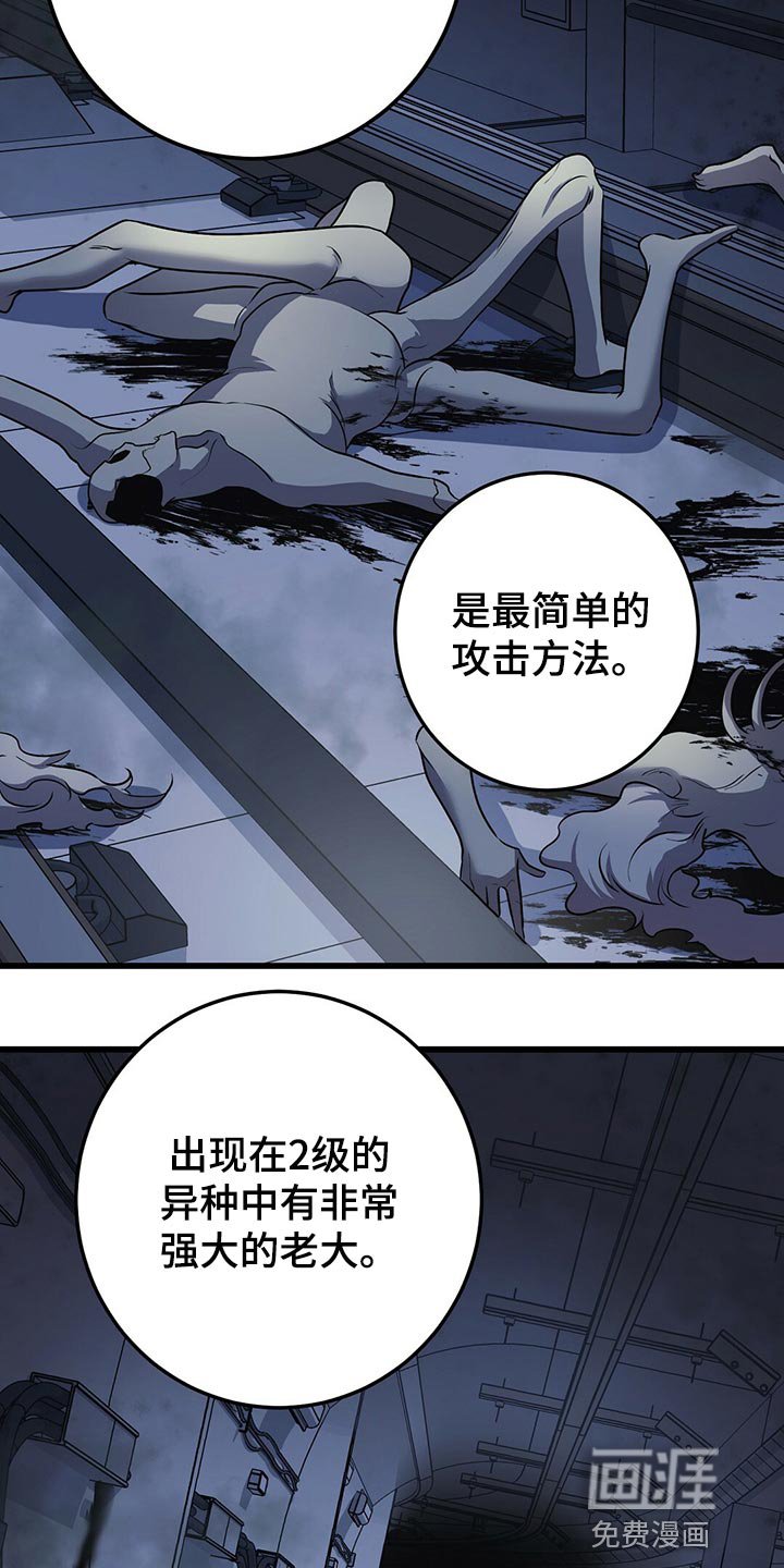 第31章：全员攻击！