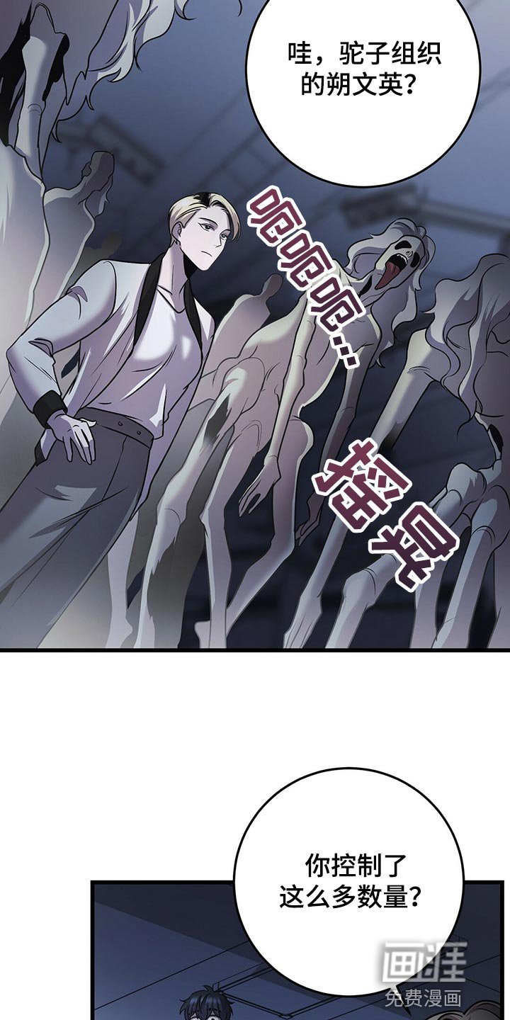 第31章：全员攻击！