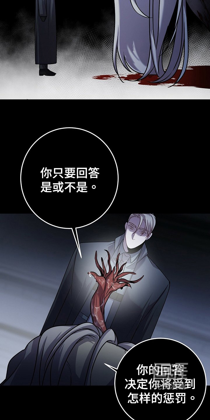 第34章：诱饵