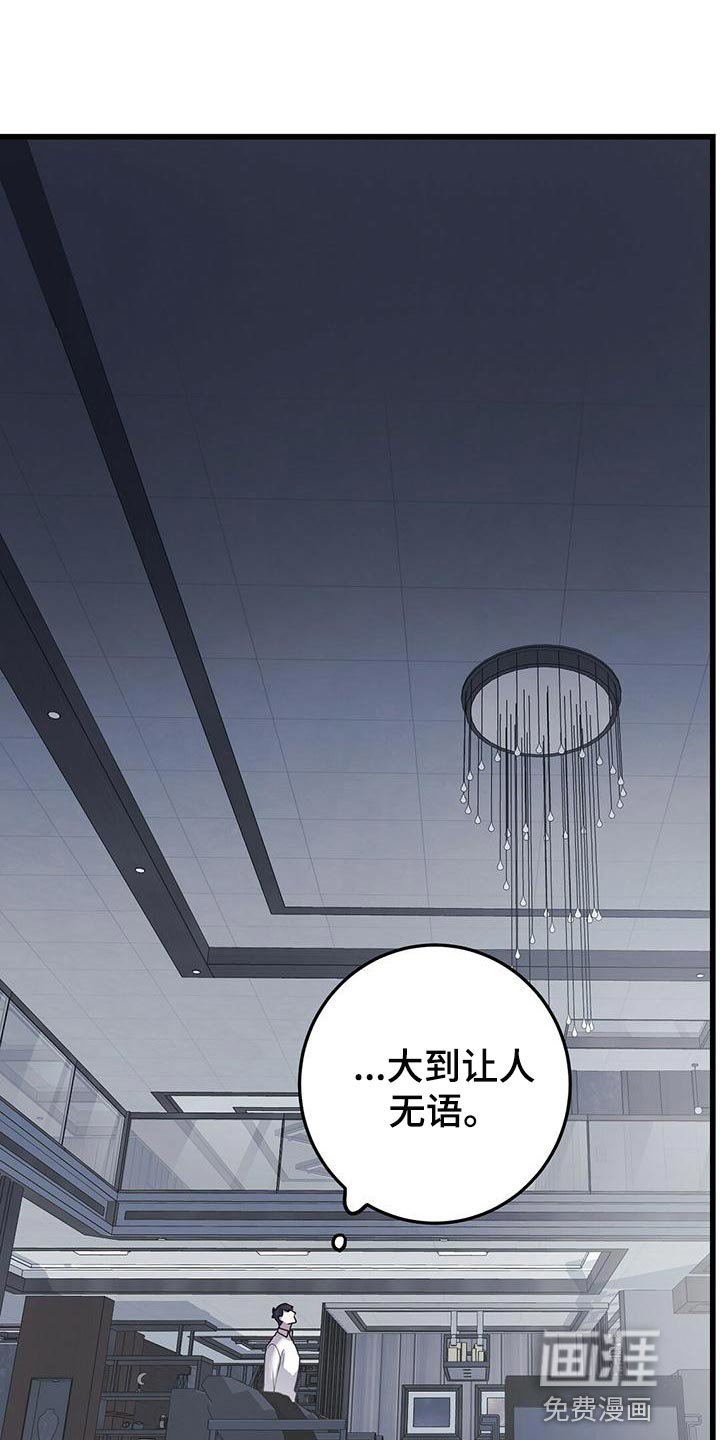 第43章：蛋白饼干