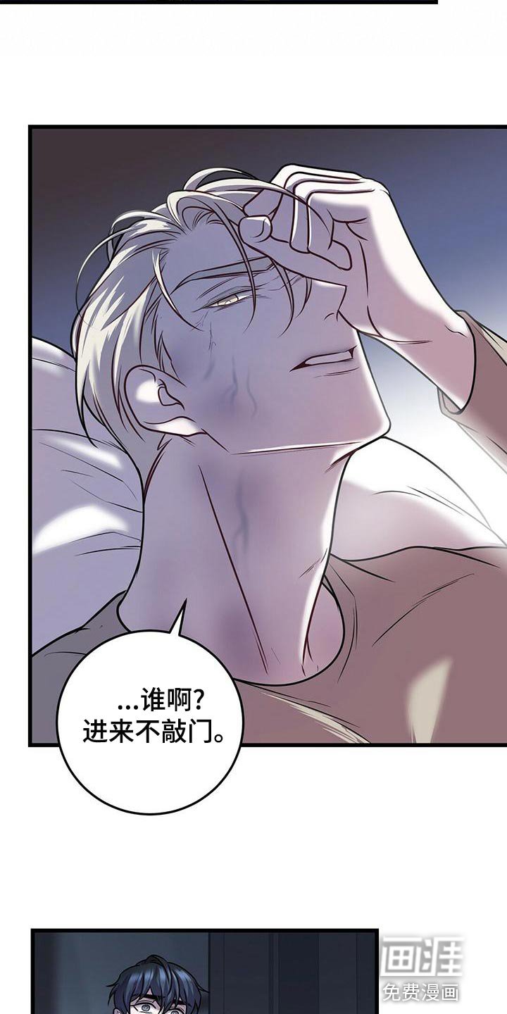 第43章：蛋白饼干