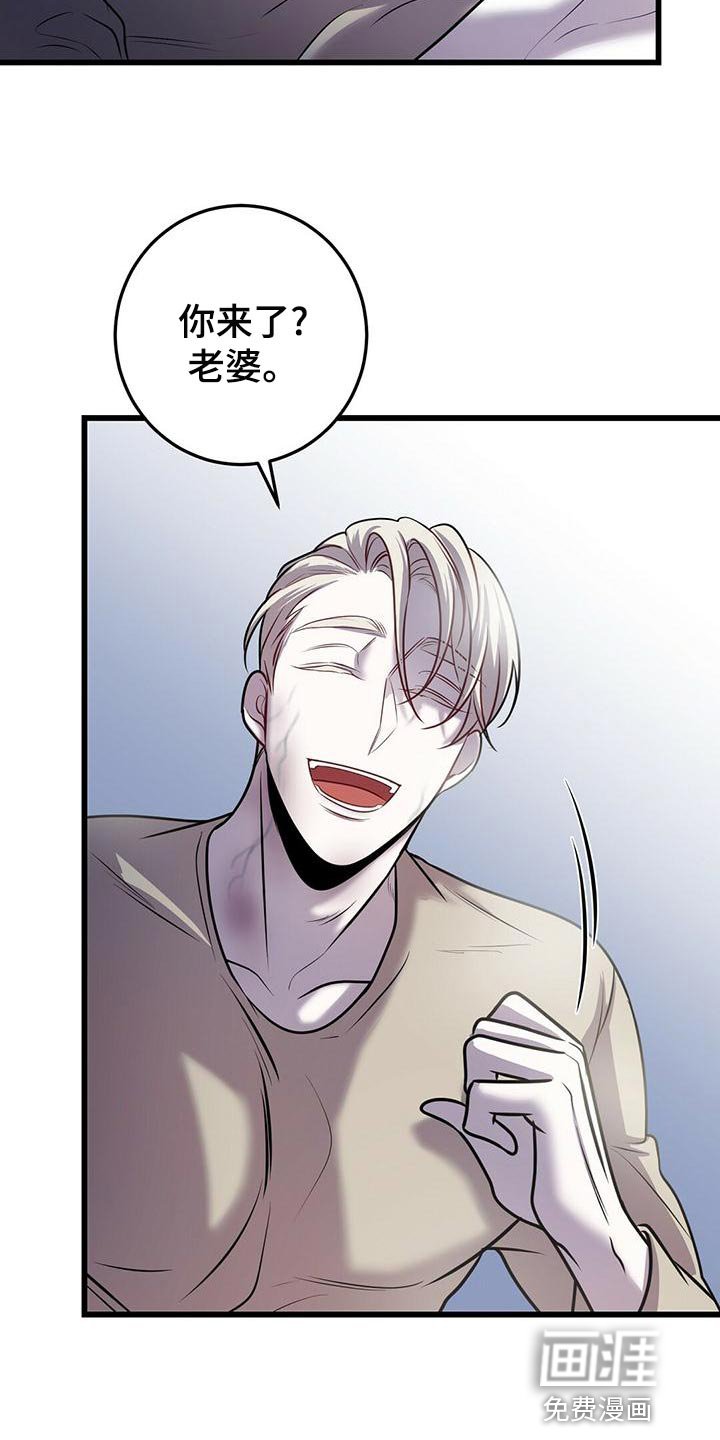 第43章：蛋白饼干
