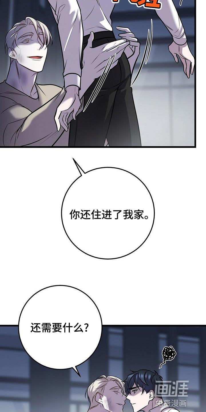 第43章：蛋白饼干