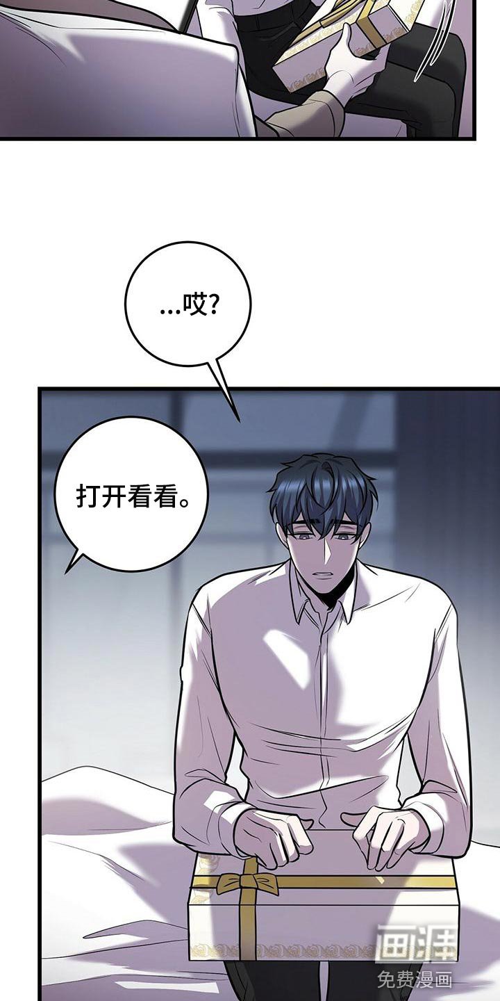 第43章：蛋白饼干