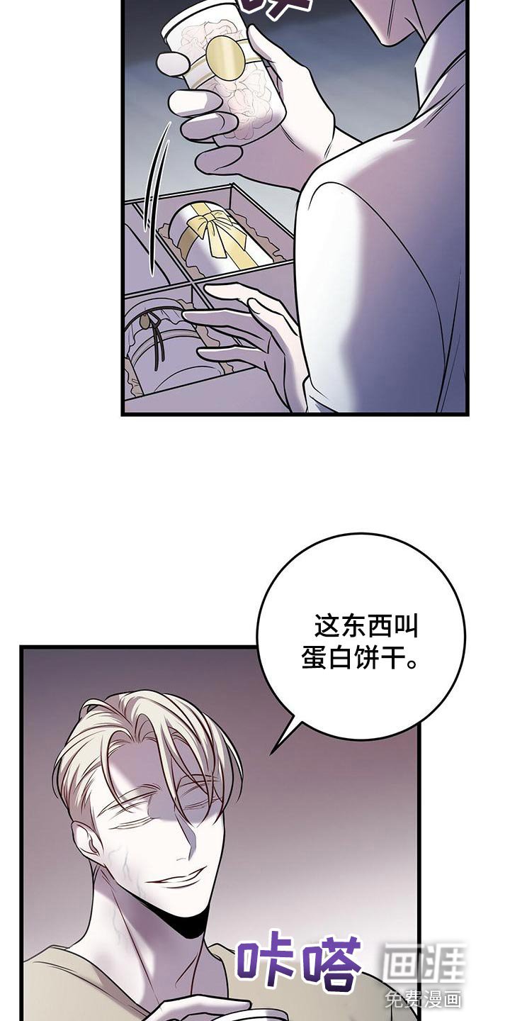 第43章：蛋白饼干