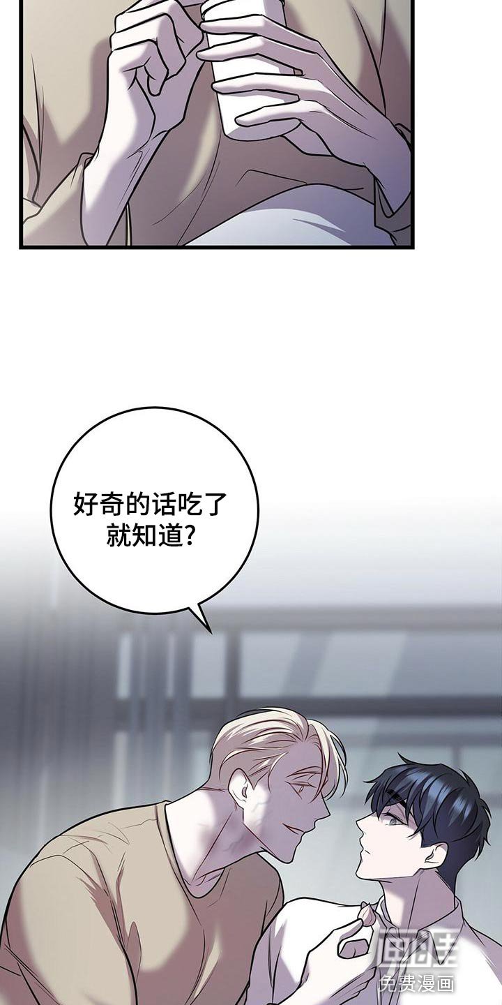 第43章：蛋白饼干