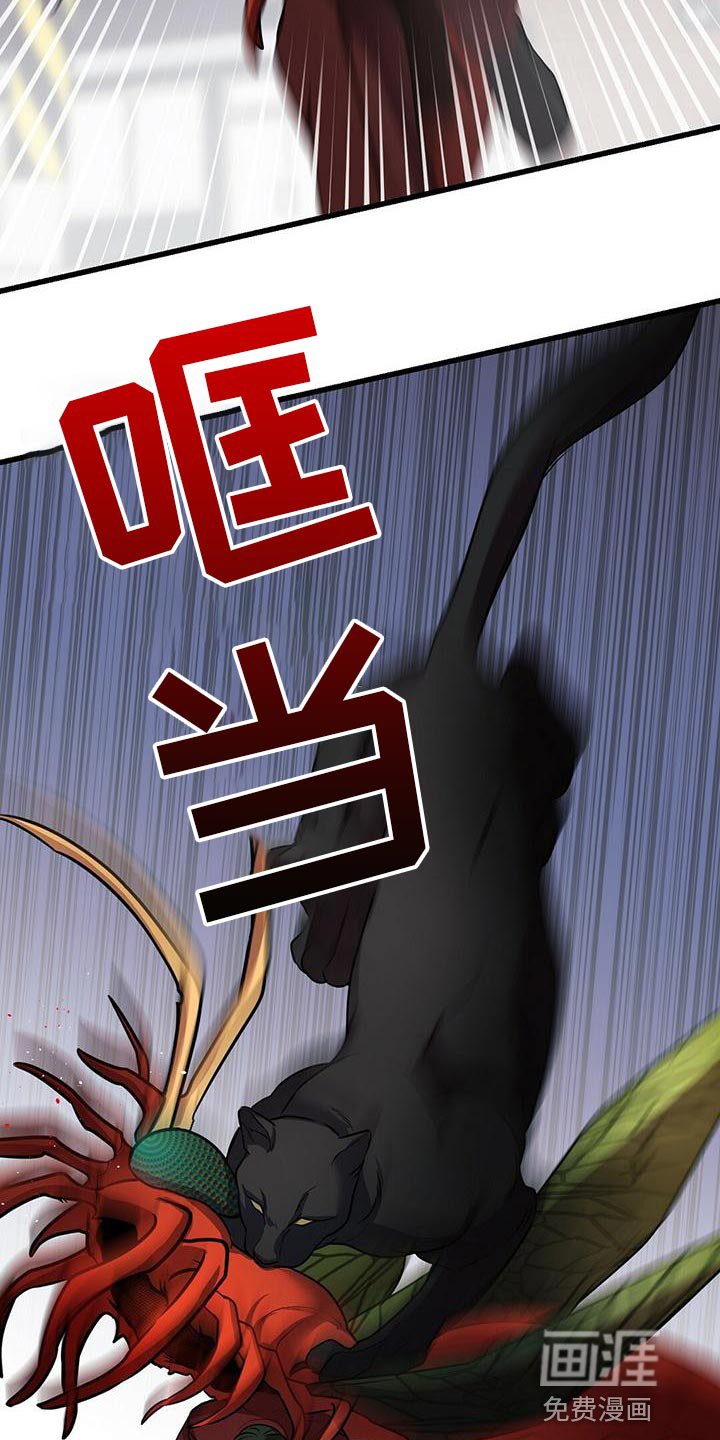 第47章：群体攻击