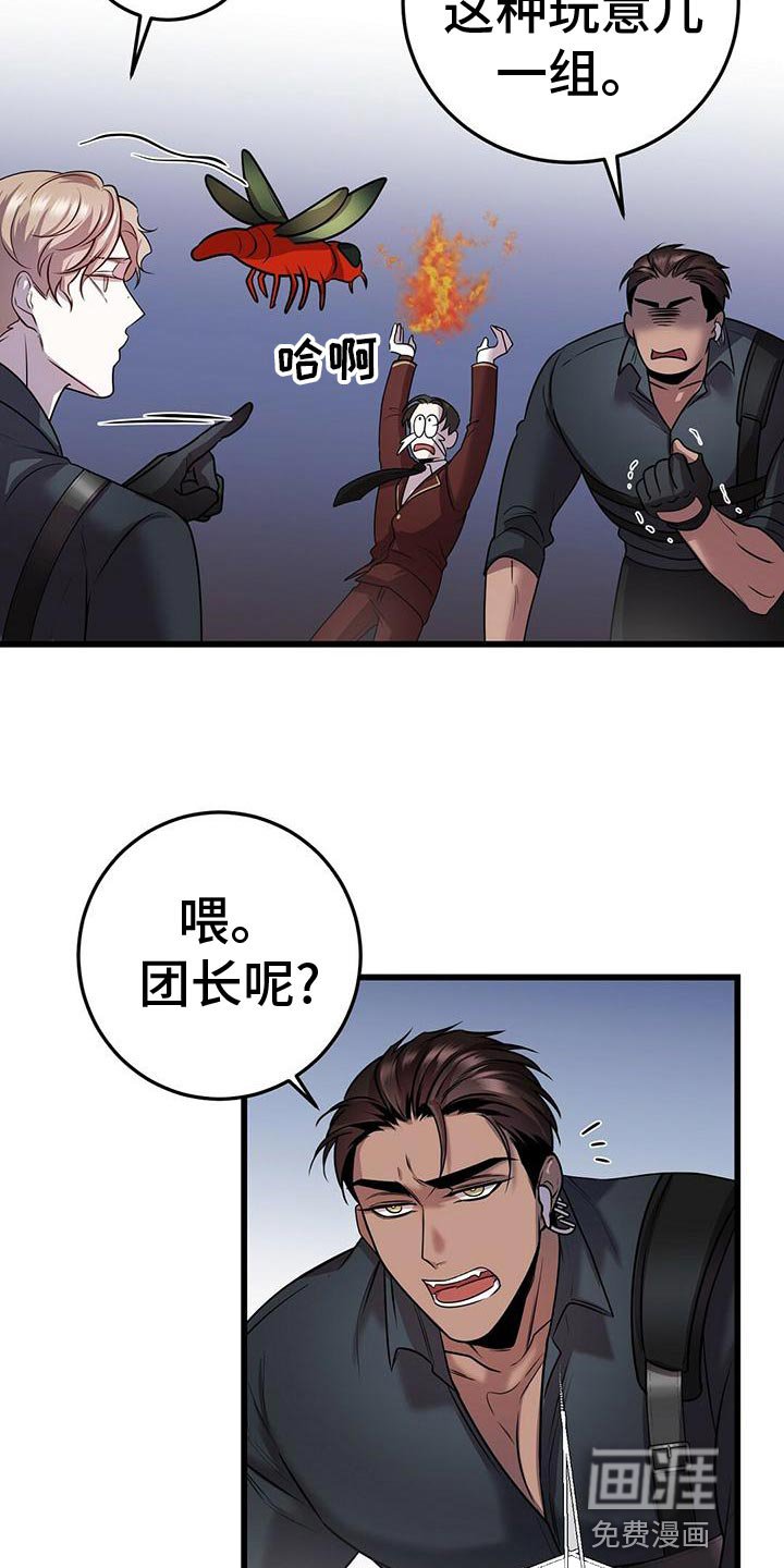 第47章：群体攻击