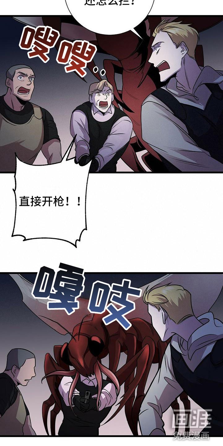 第5章：曦光