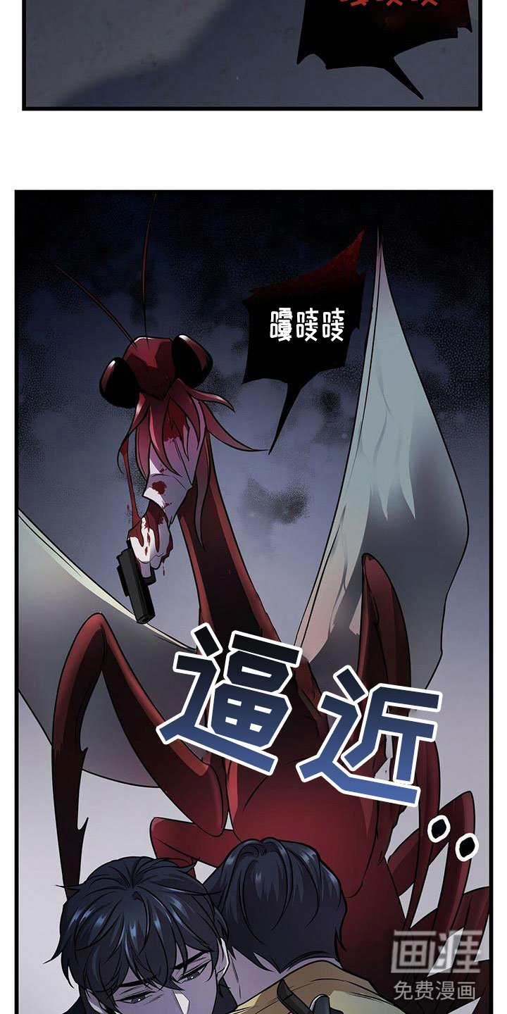 第5章：曦光