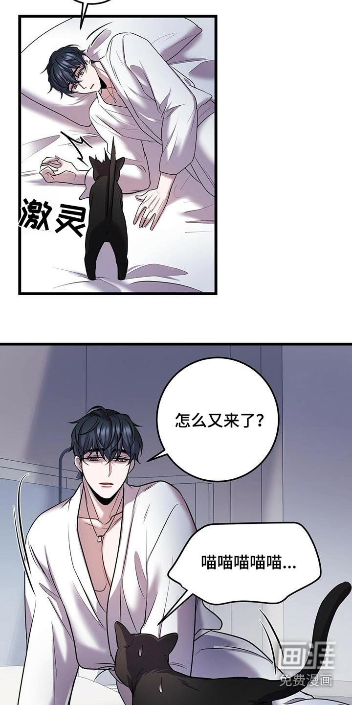 第54章：行动