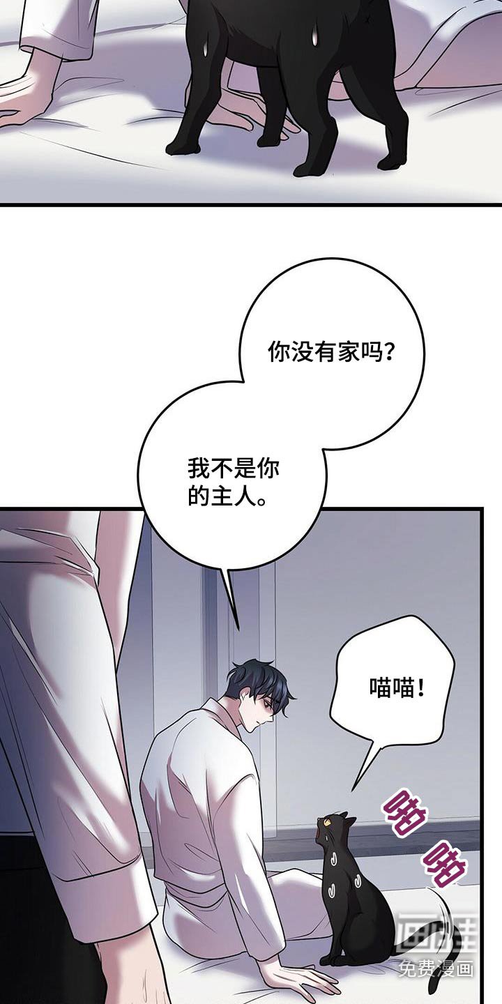 第54章：行动