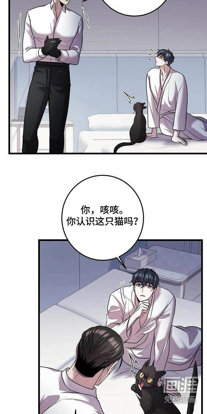第54章：行动