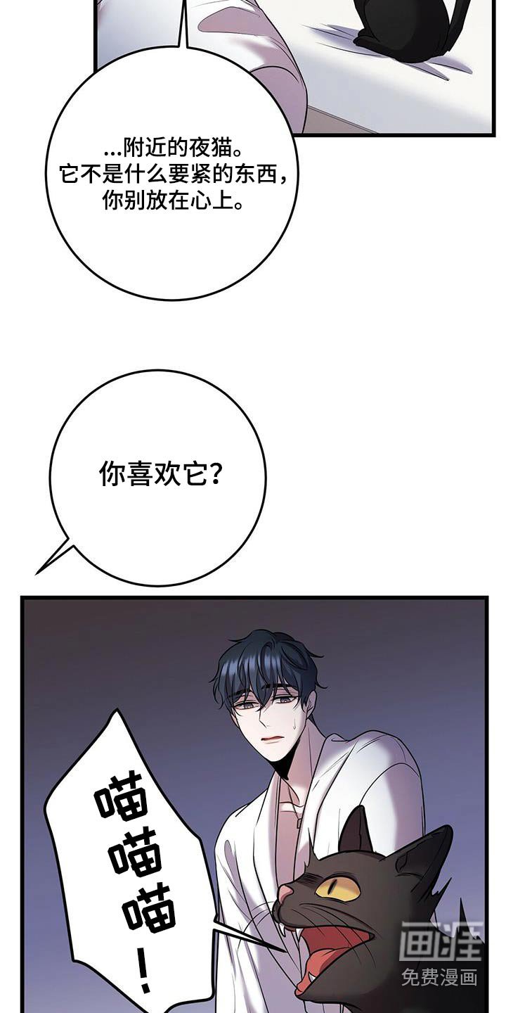第54章：行动