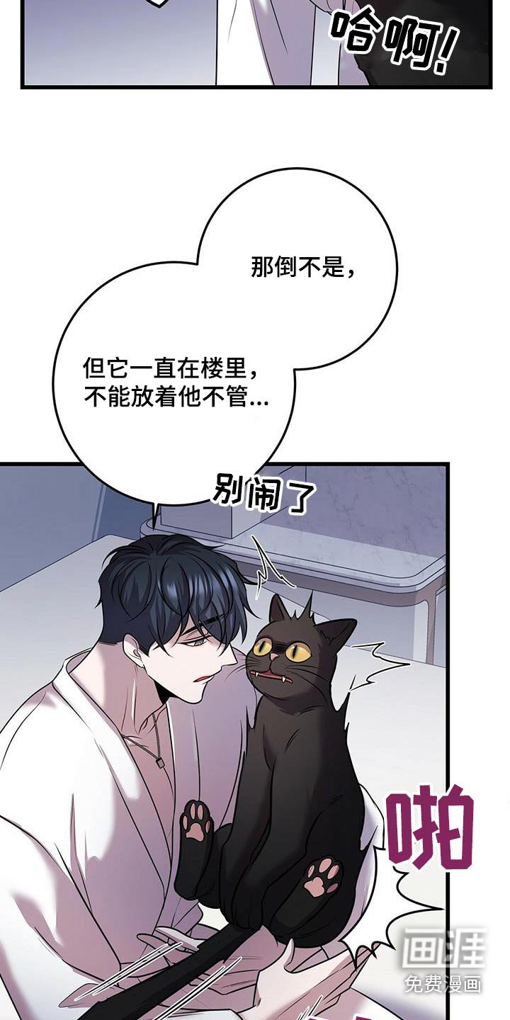 第54章：行动