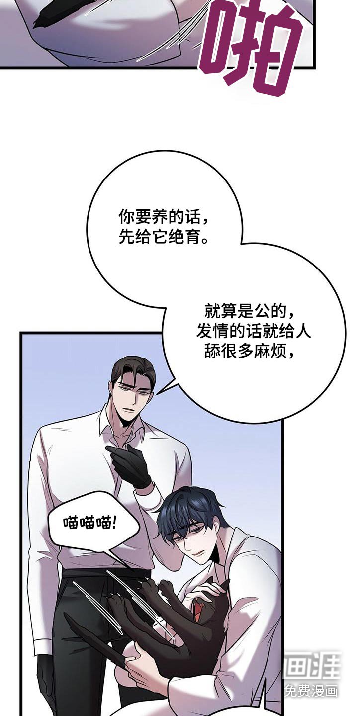 第54章：行动