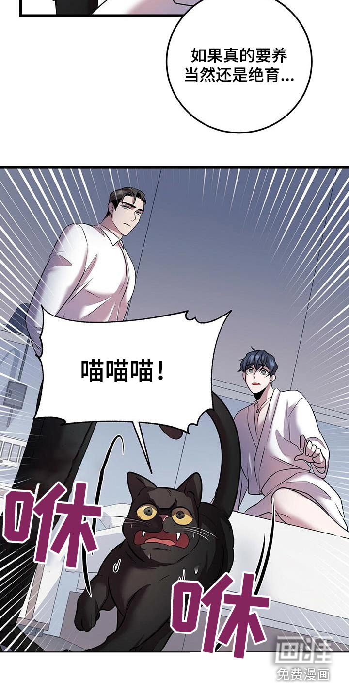 第54章：行动