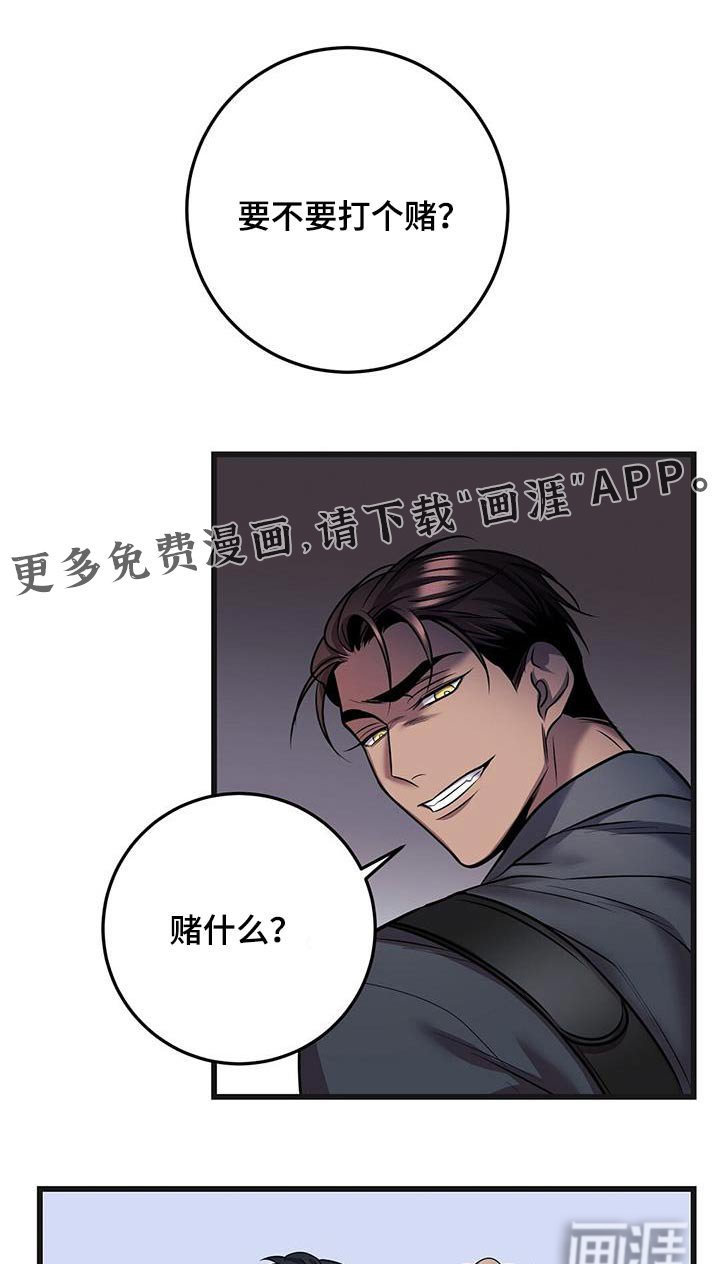 第65章：打赌