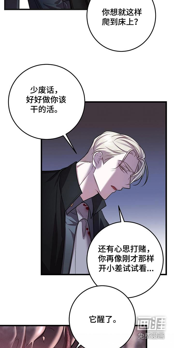 第65章：打赌