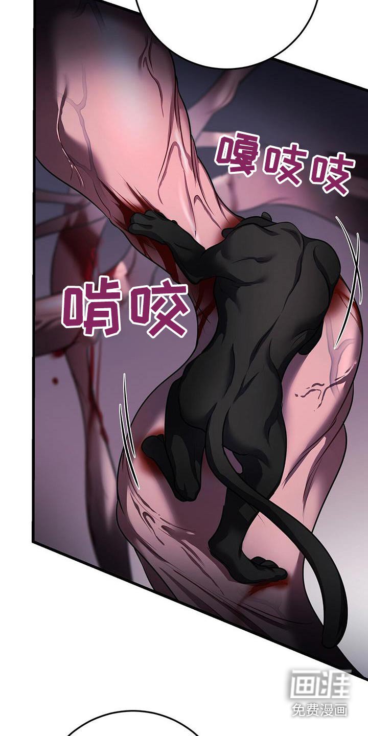 第65章：打赌