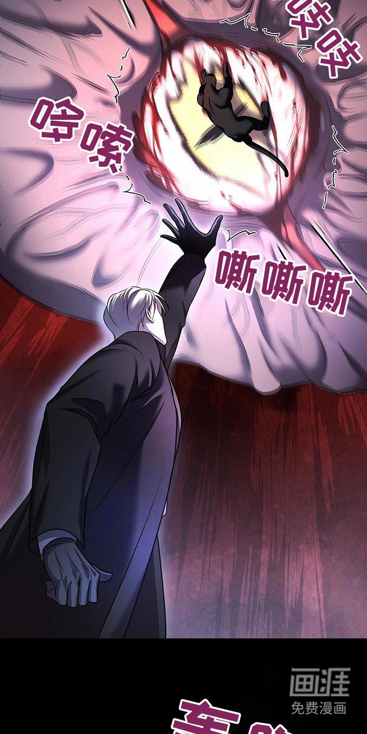 第66章：击杀