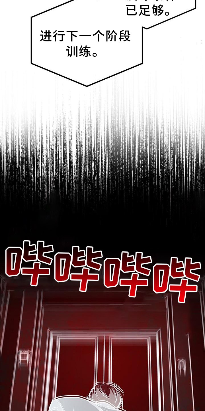 第75章：实验