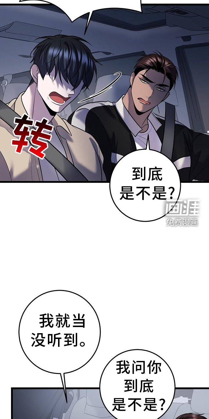 第82章：看球