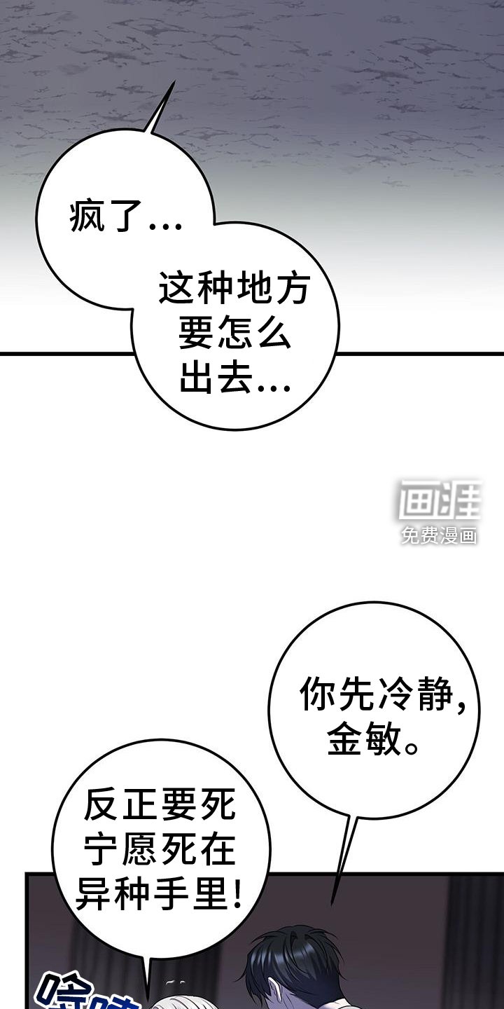 第94章：幻觉