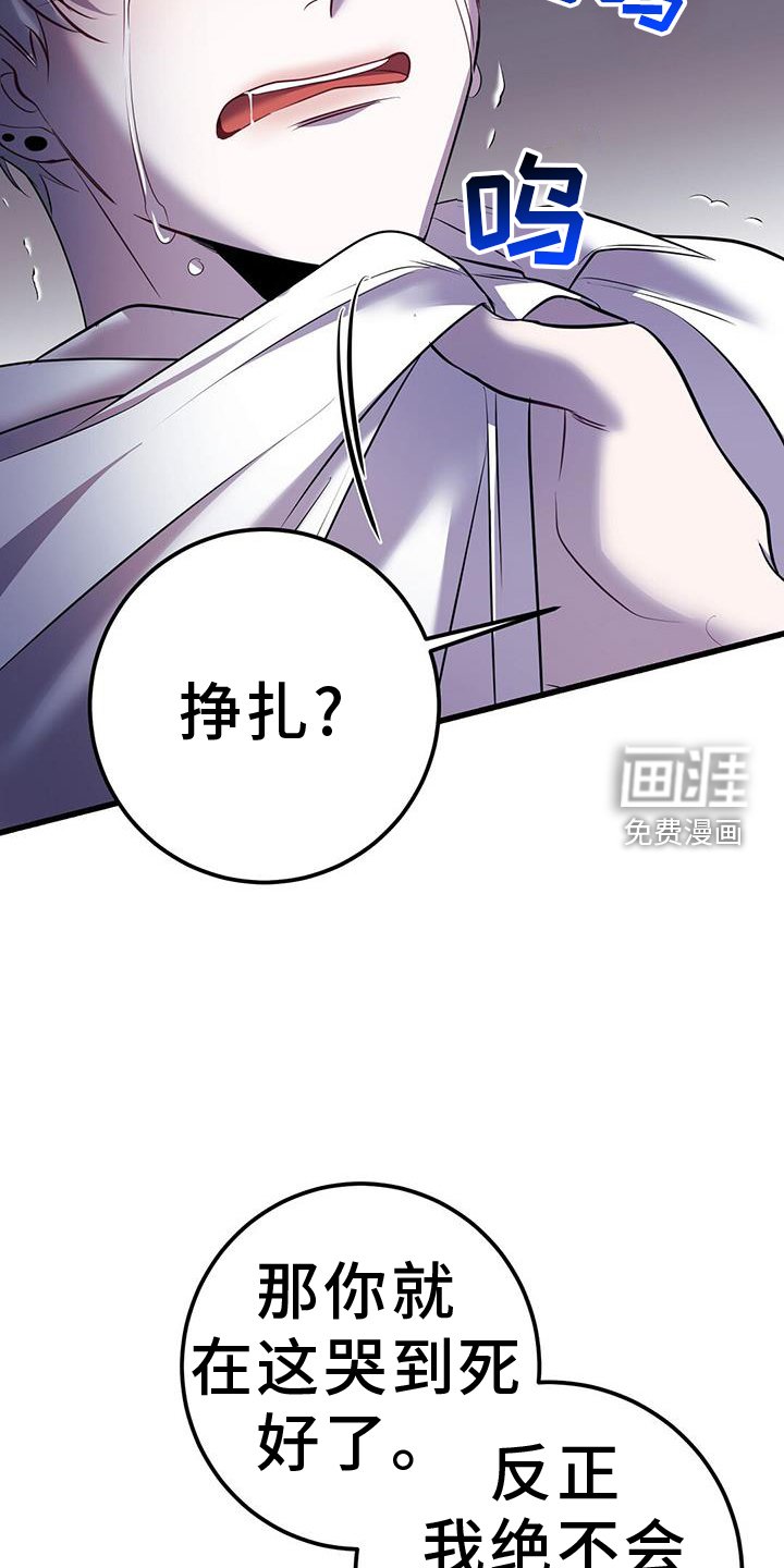 第94章：幻觉