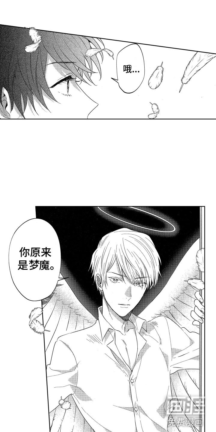 第12章：突降天使