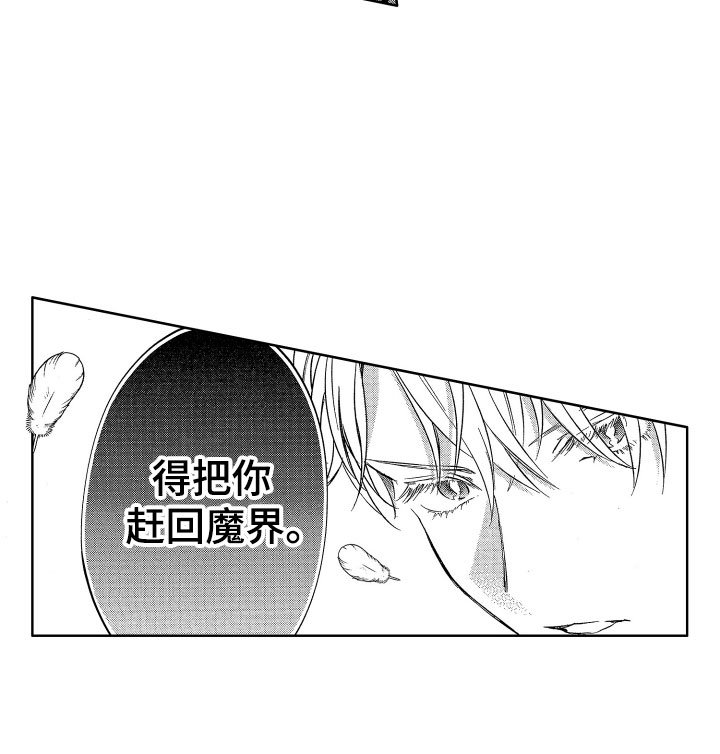 第12章：突降天使