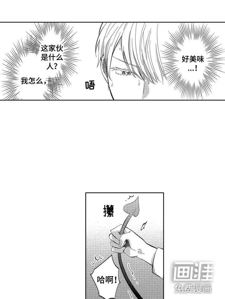 第19章：糟糕的好奇心