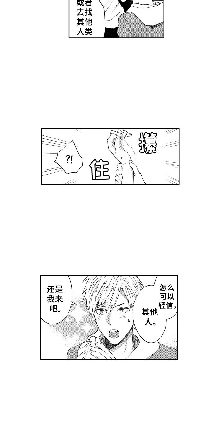 第3章：诚实的尾巴