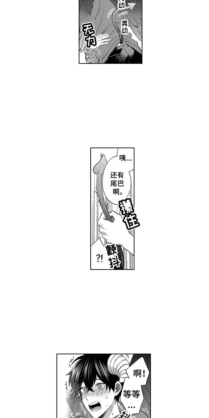 第3章：诚实的尾巴