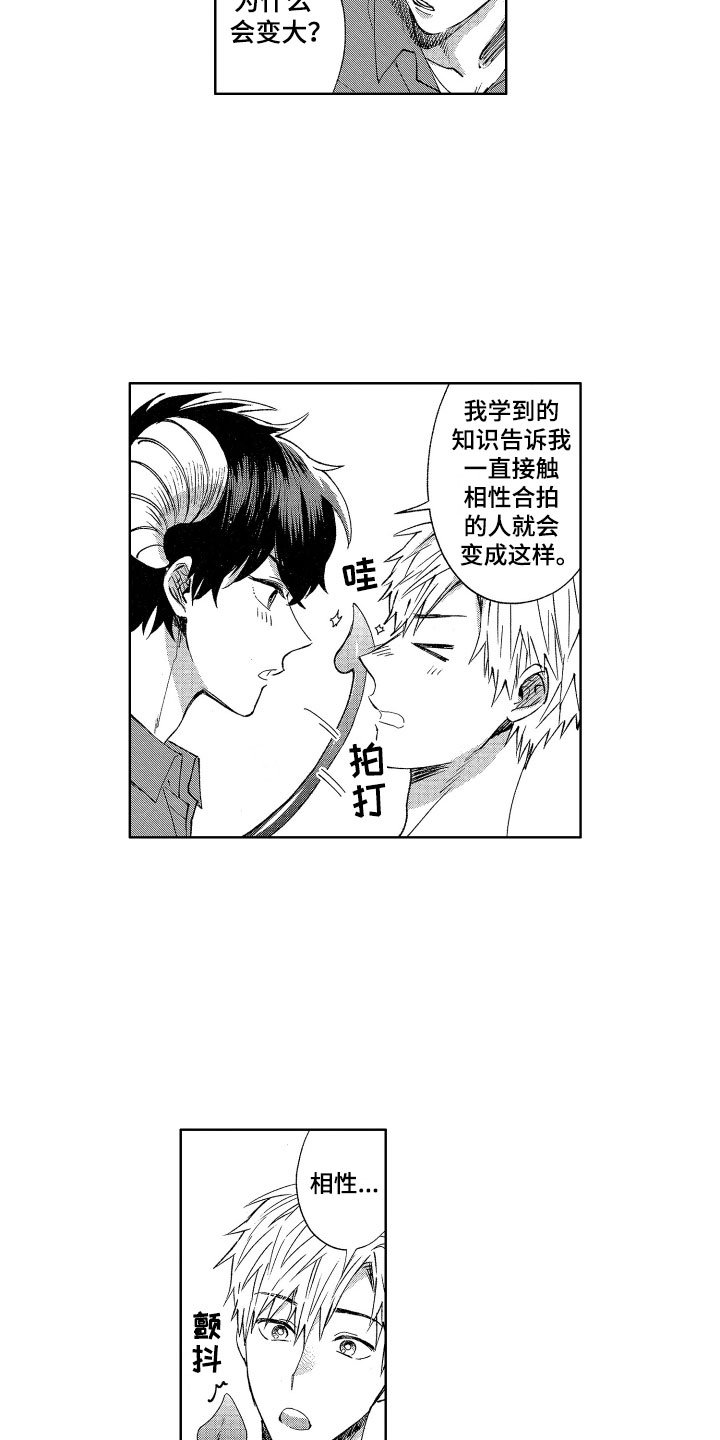 第3章：诚实的尾巴