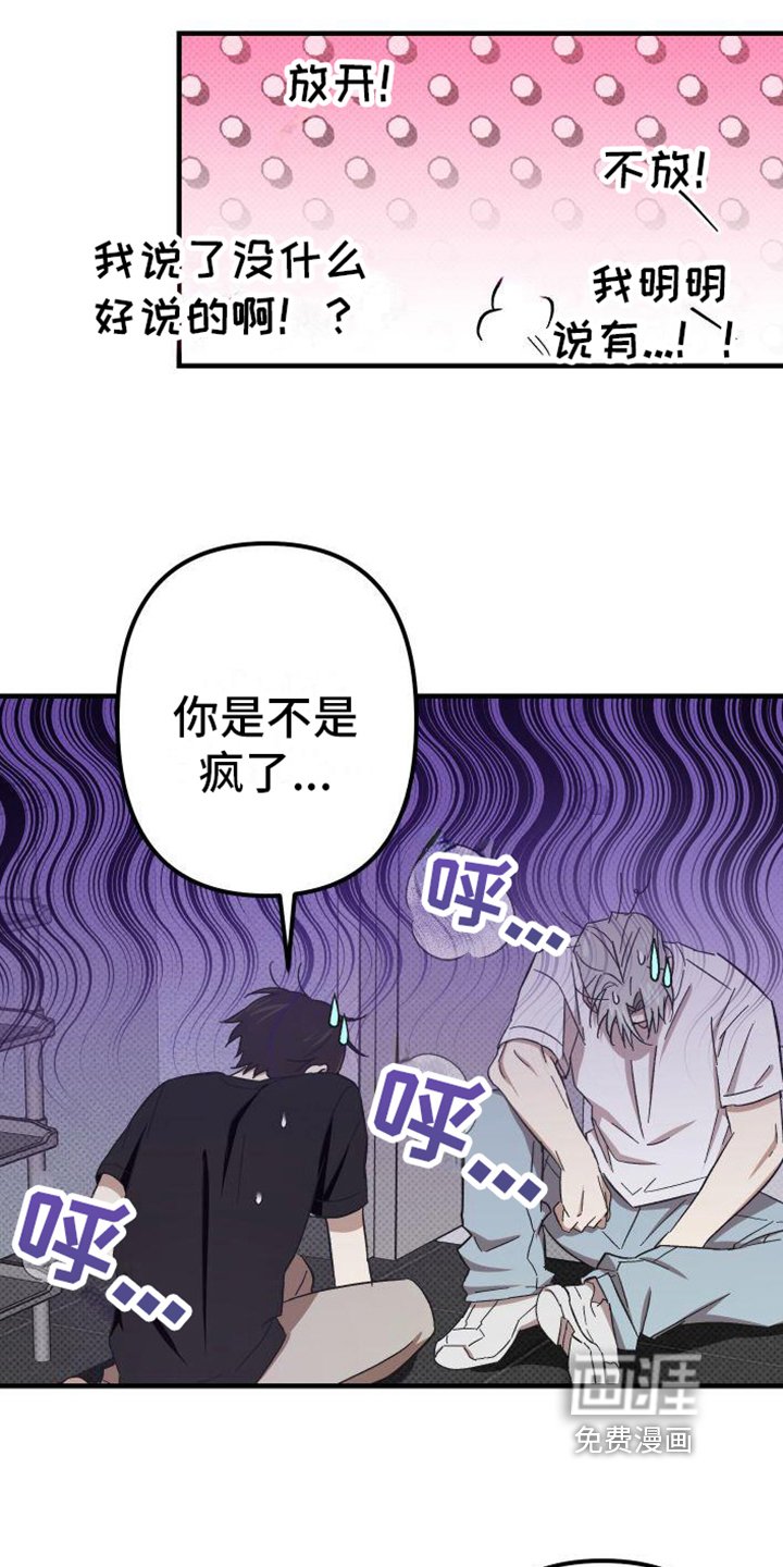第12章：爱好